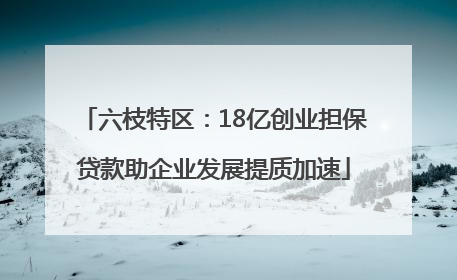 六枝特区：18亿创业担保贷款助企业发展提质加速